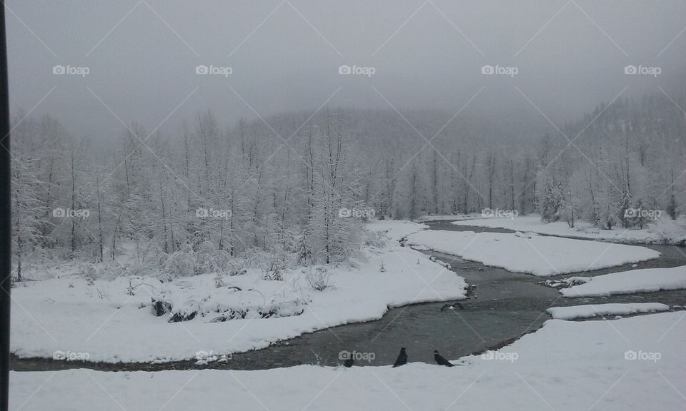 Snowy Mountain River