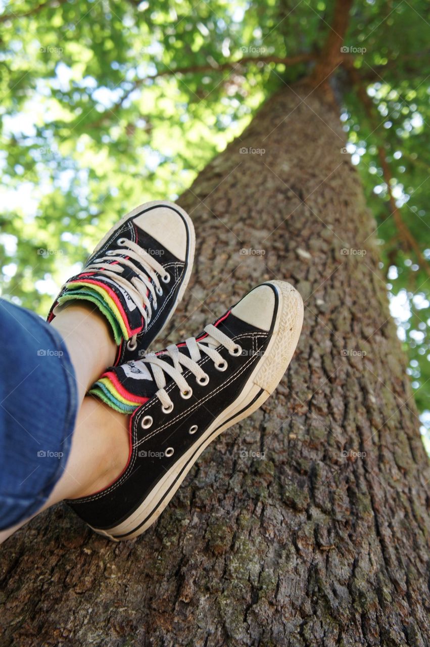 Human leg on tree trunk