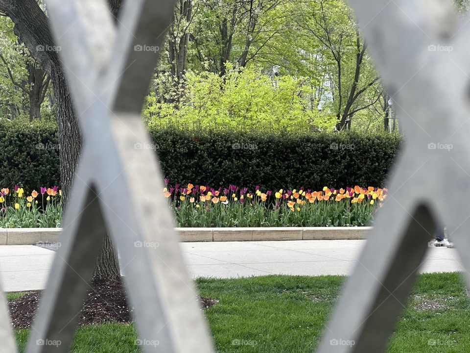 Architecture and nature