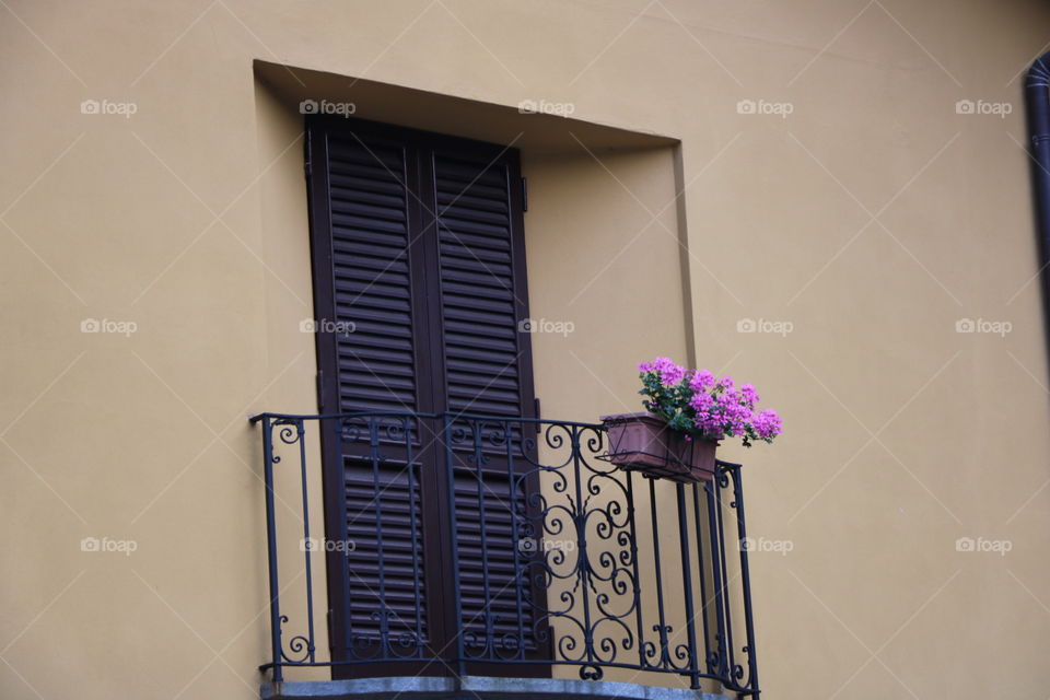 Potted flowers on a balcony 