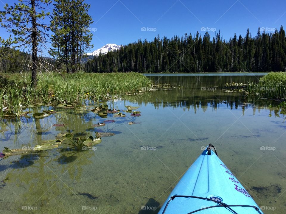 Lake, Reflection, Water, No Person, Wood