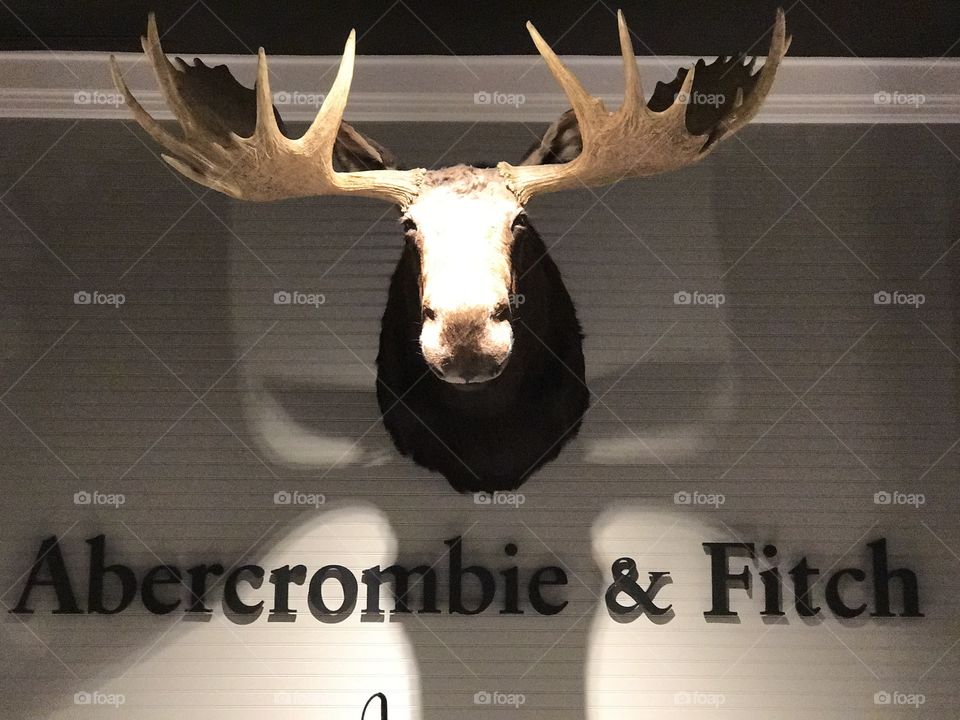  Abercrombie and Fitch   