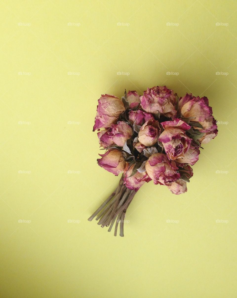 Bouquet of dry pink   mini roses on yellow background 