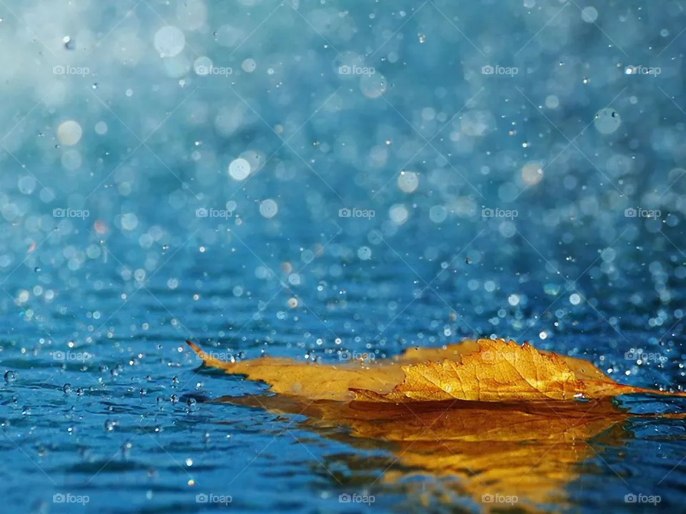 rain