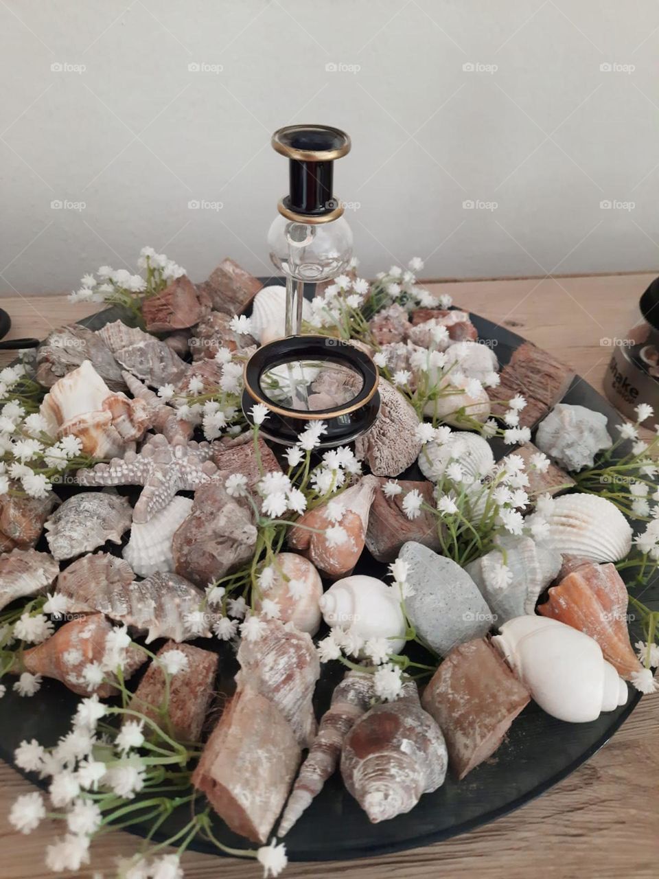 Meer Dekoration Muschel