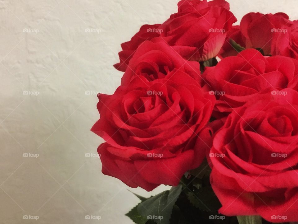 Bouquet of red roses cutout