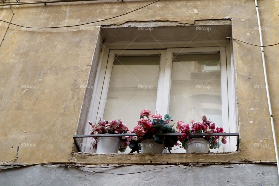 Flowers pots on a window Napoli