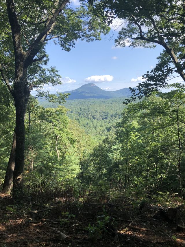 Mountain Views 