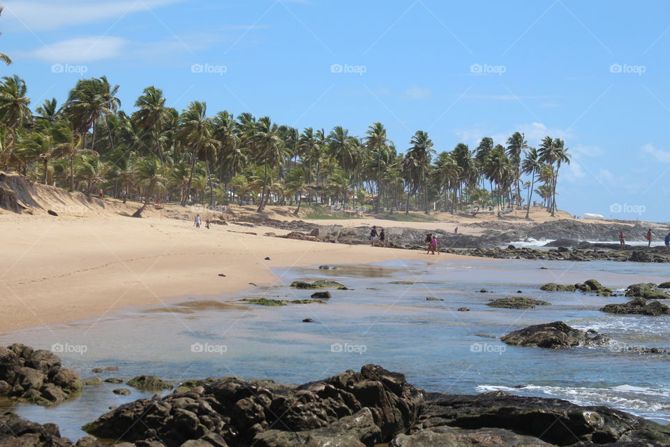 View of a beautiful beach in Bahia-Brazil
