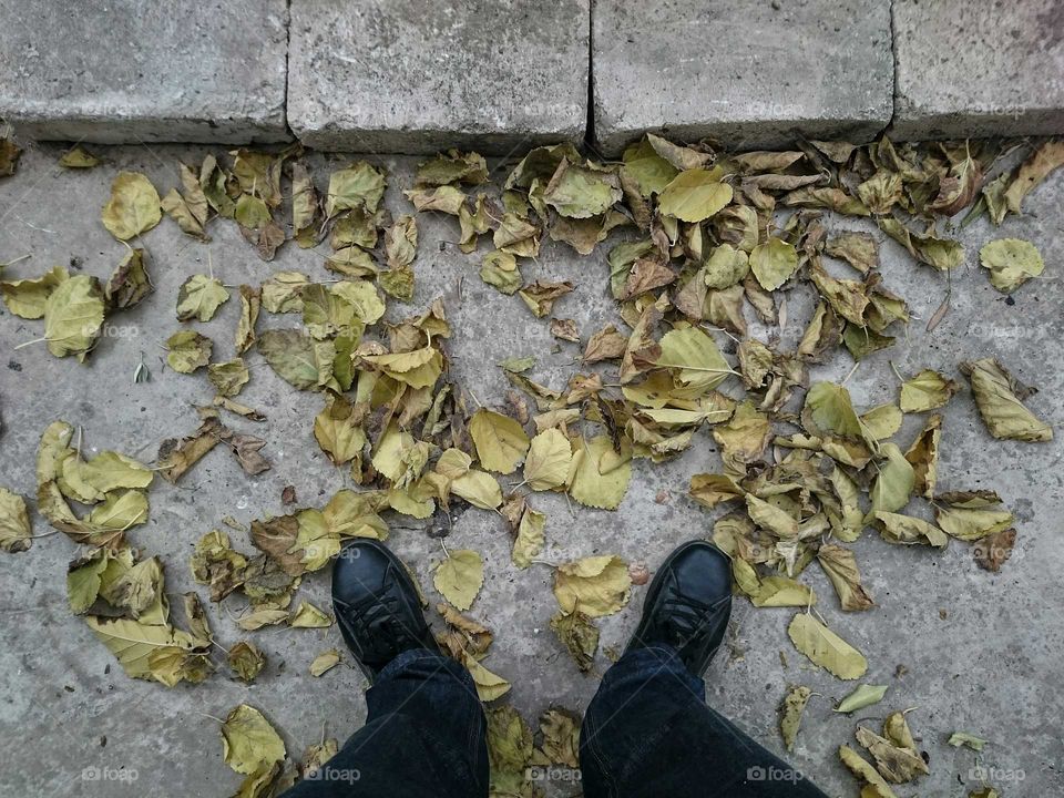 Autumn Leaves