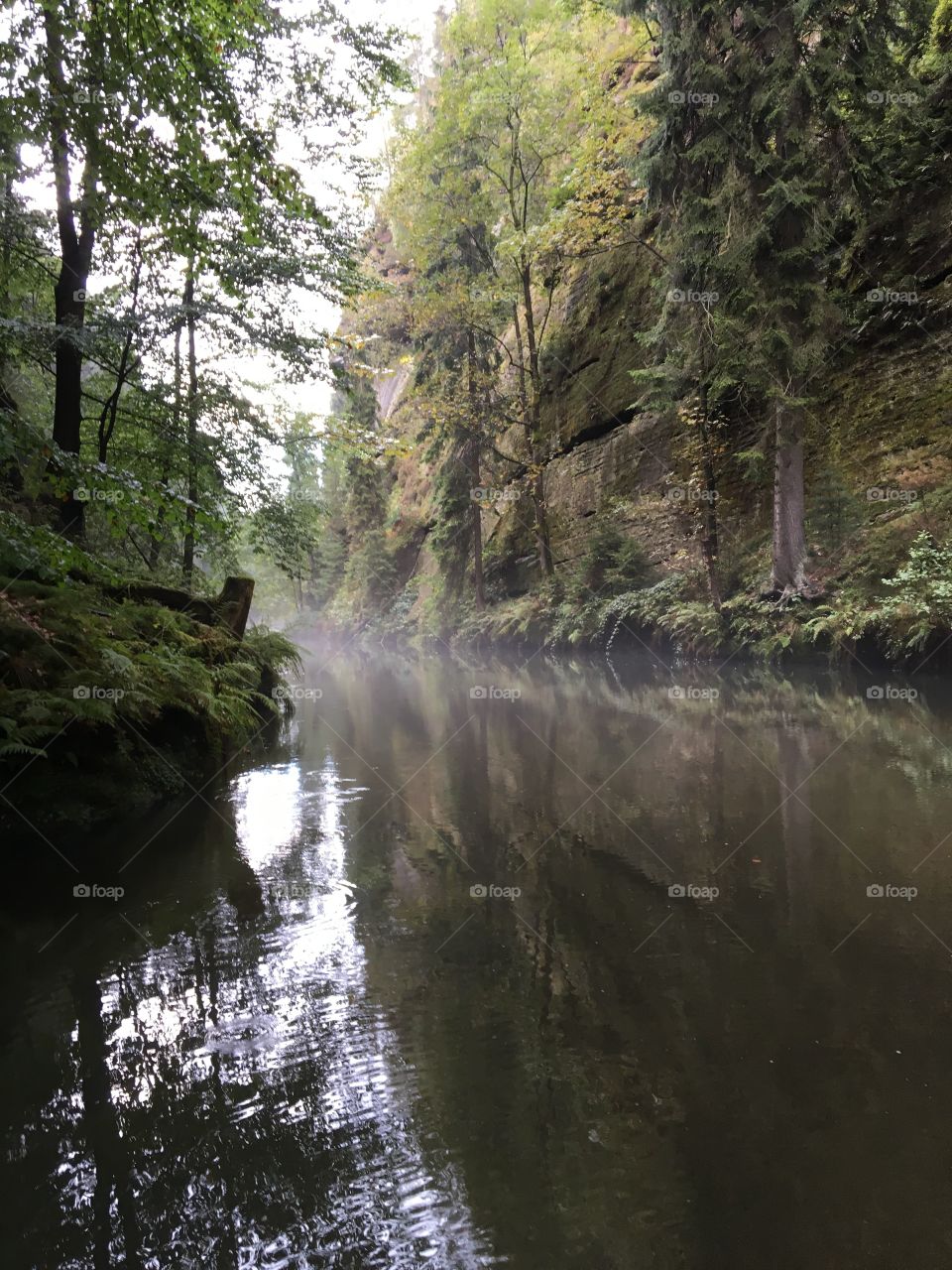 Kamnitzklamm Bohemian switzerland Czech Republic 