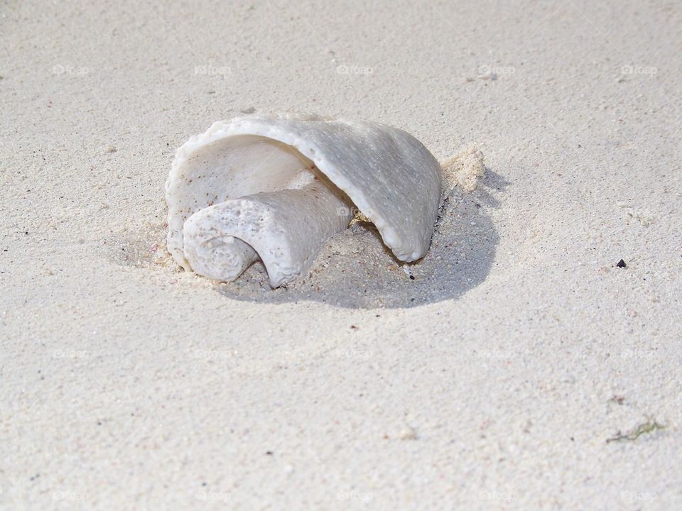 Shell of a shell