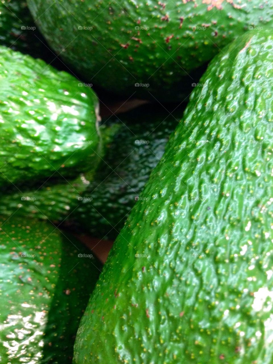 Avocados