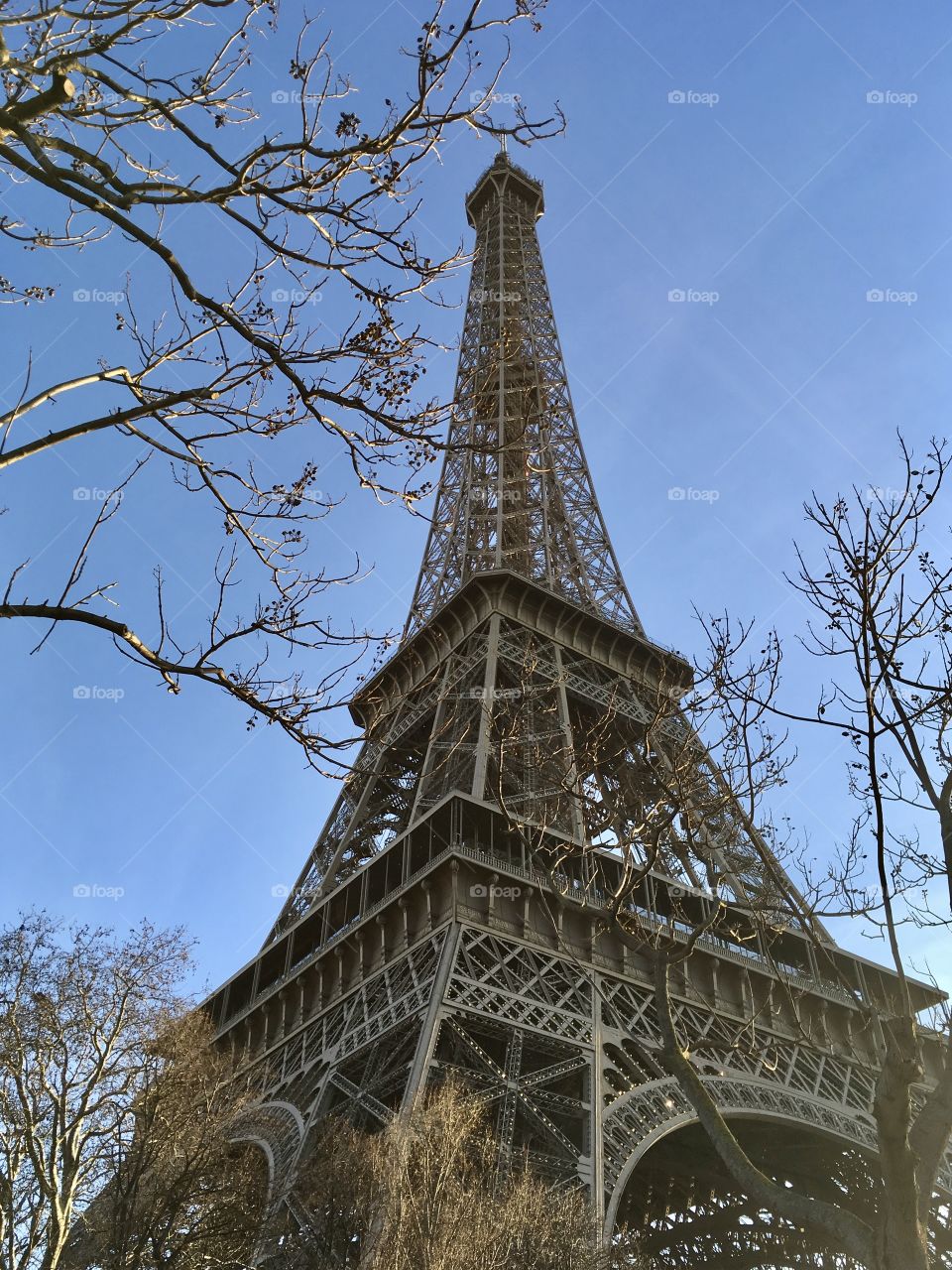 Eiffel Tower 