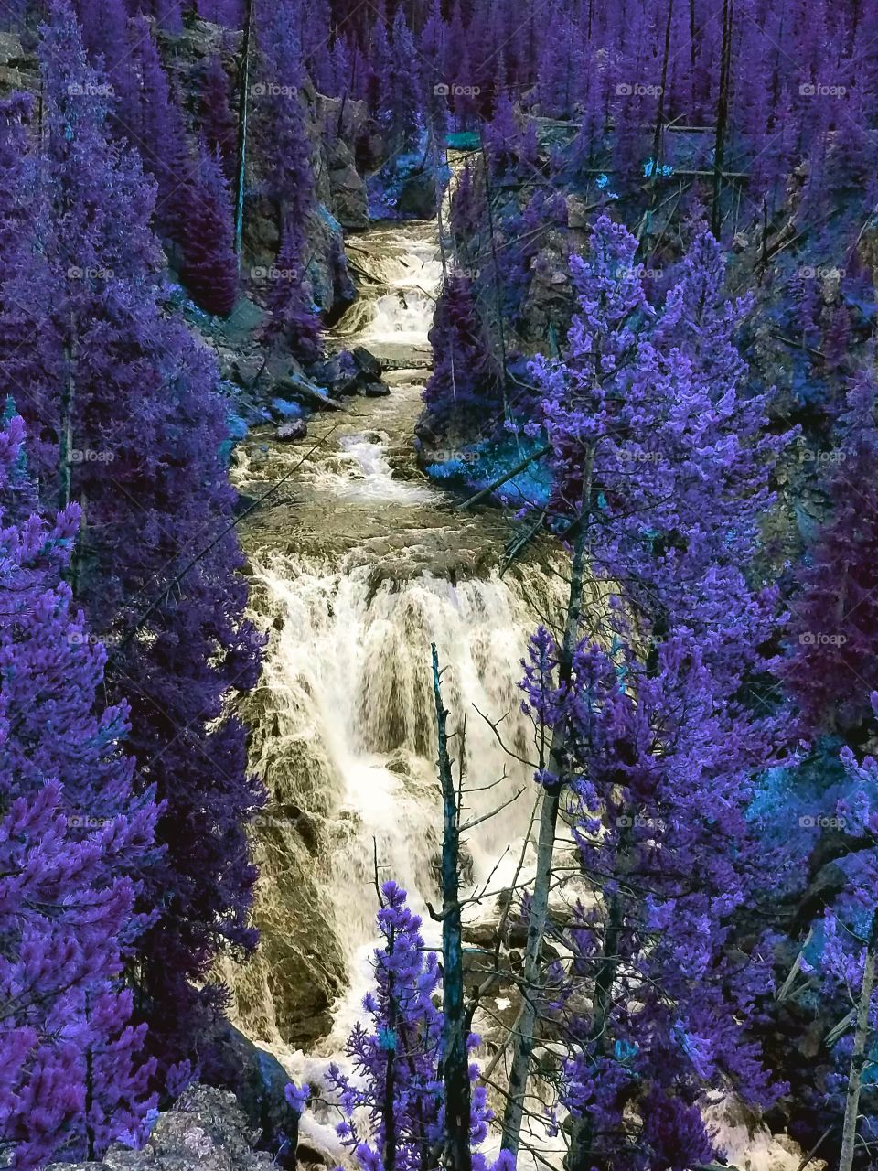 Yellowstones waterfalls in winter
