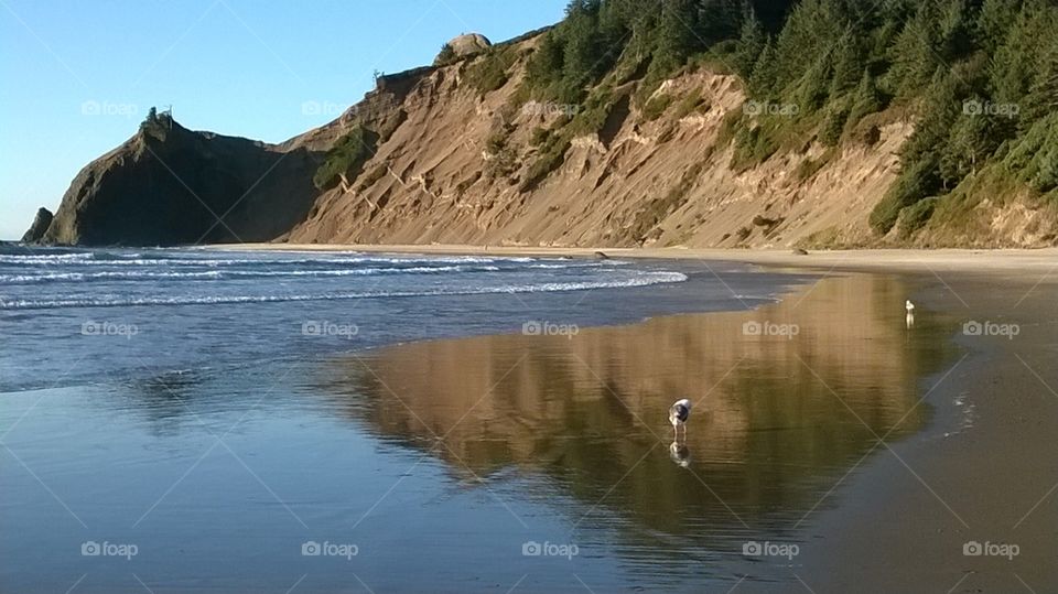 Oregon coast