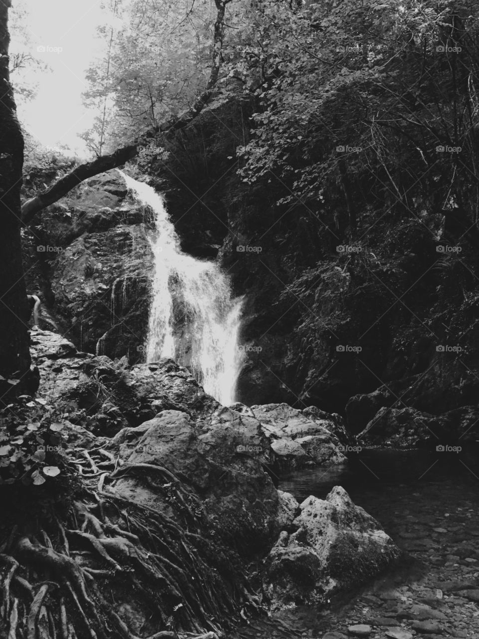 Beautiful waterfall.