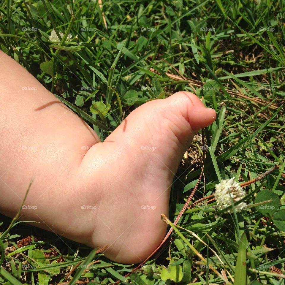 Toddler foot in green grass. Baby foot with curled toes in green grass