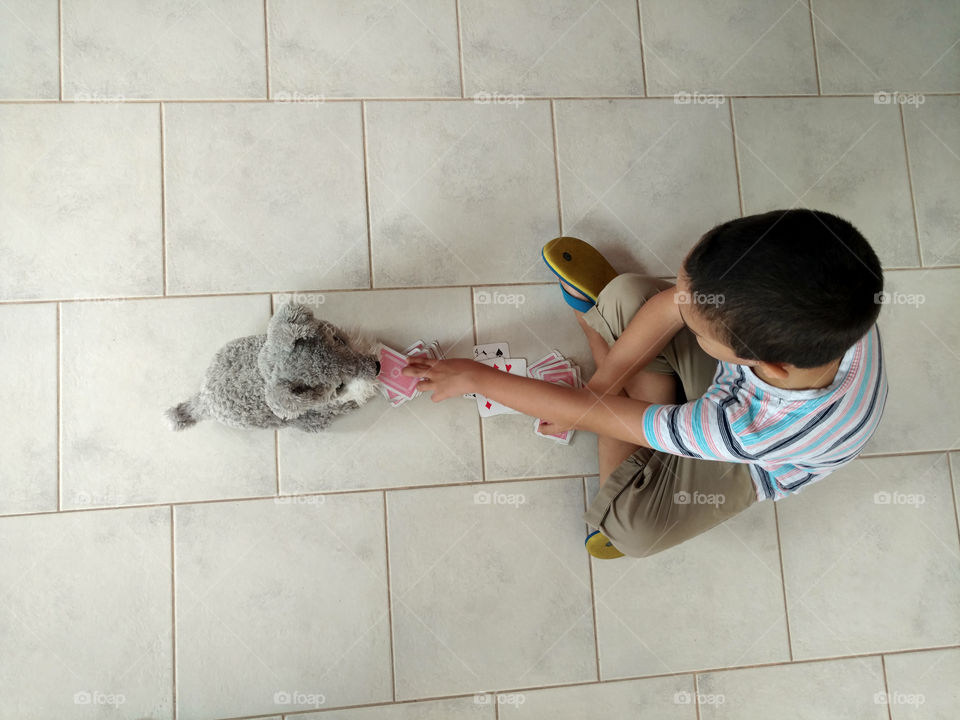 my son is playing cards with a stuffed animal