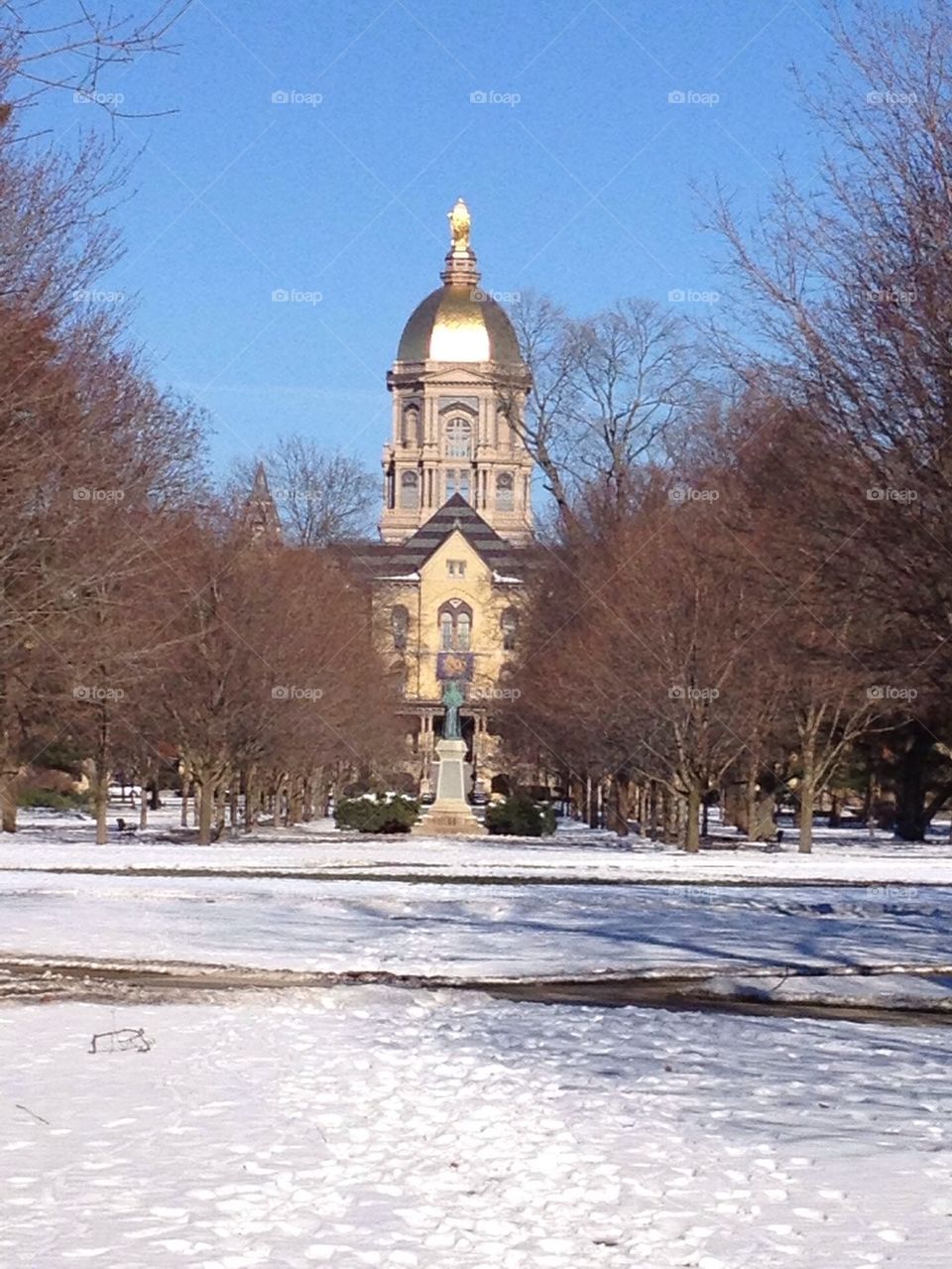 The Golden Dome of ND