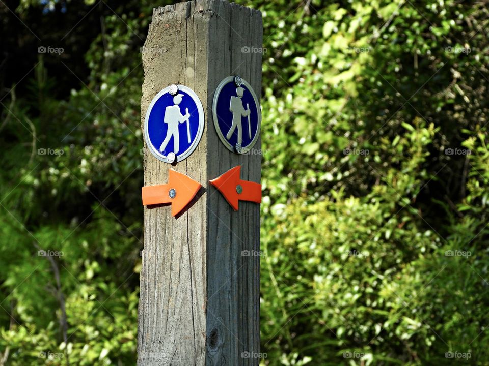 The Magical Outside - Hiking signs pointing the direction that a trail has already been broken in. Orange arrows point which way to go