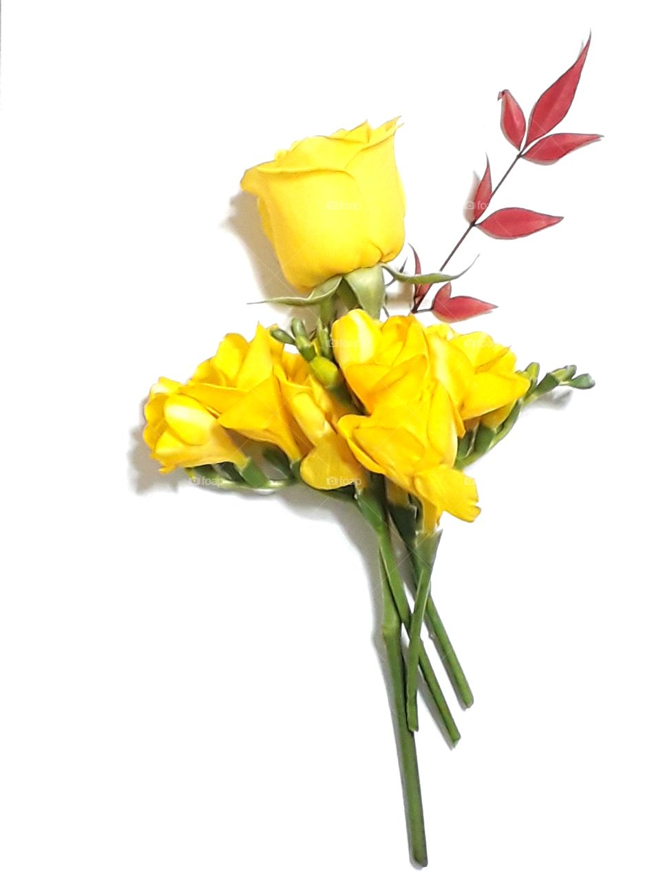 ose and freesia is mixed on the white background with red tree leaves. The tree leaves makes the yellows more colourful.