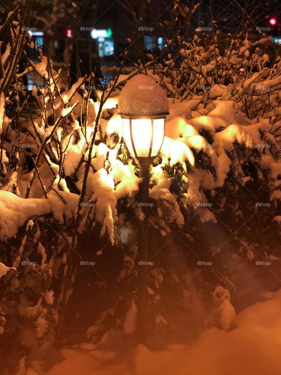 Lantern in snow 