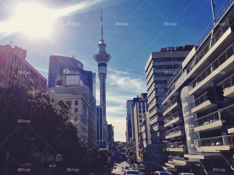 Skyscrapers in Auckland city 