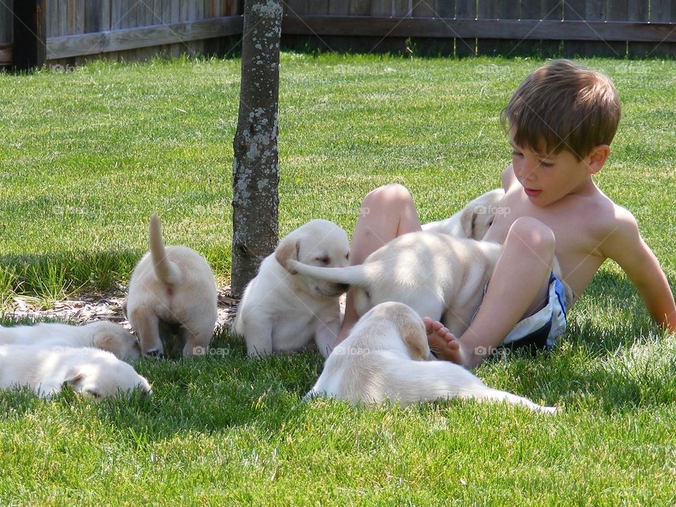 Boy playing with puppies