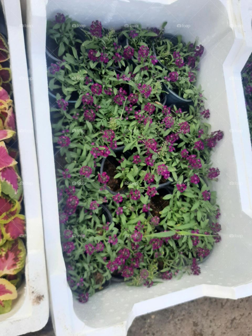 Please make me happy, I am poor, I need your help with support