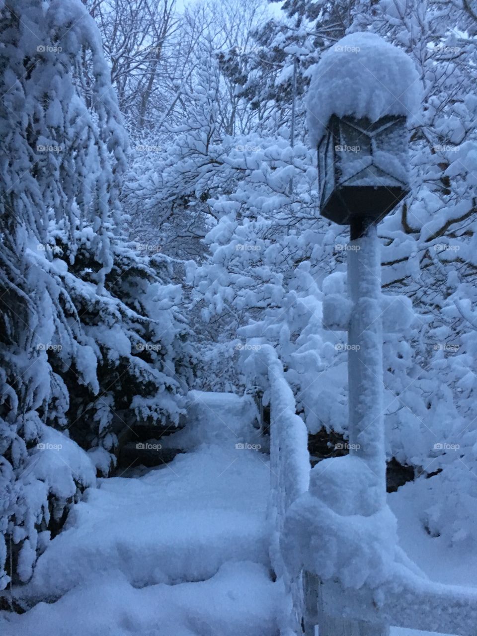 Snowstorm in CT at dusk