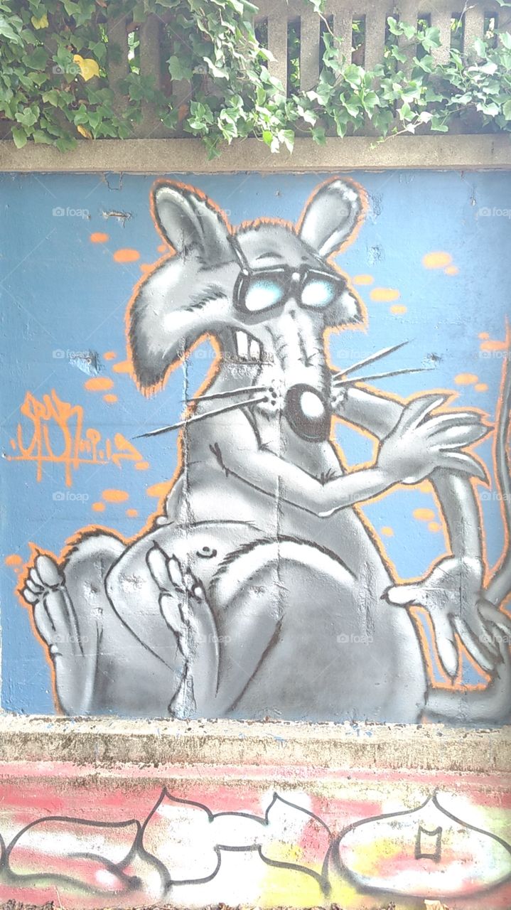 Rat with glasses