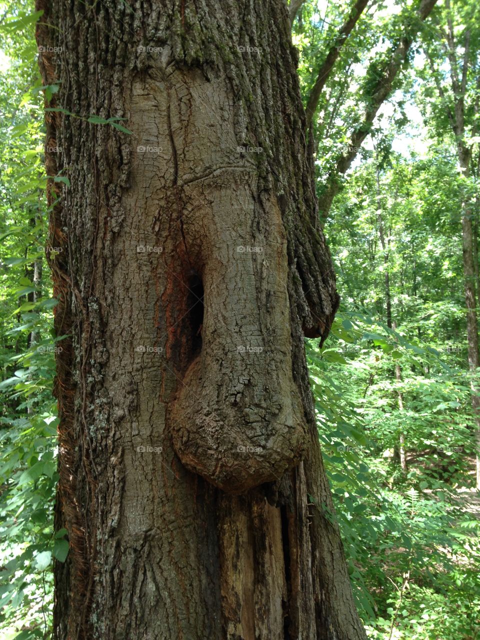 Umm, I think it's
a boy