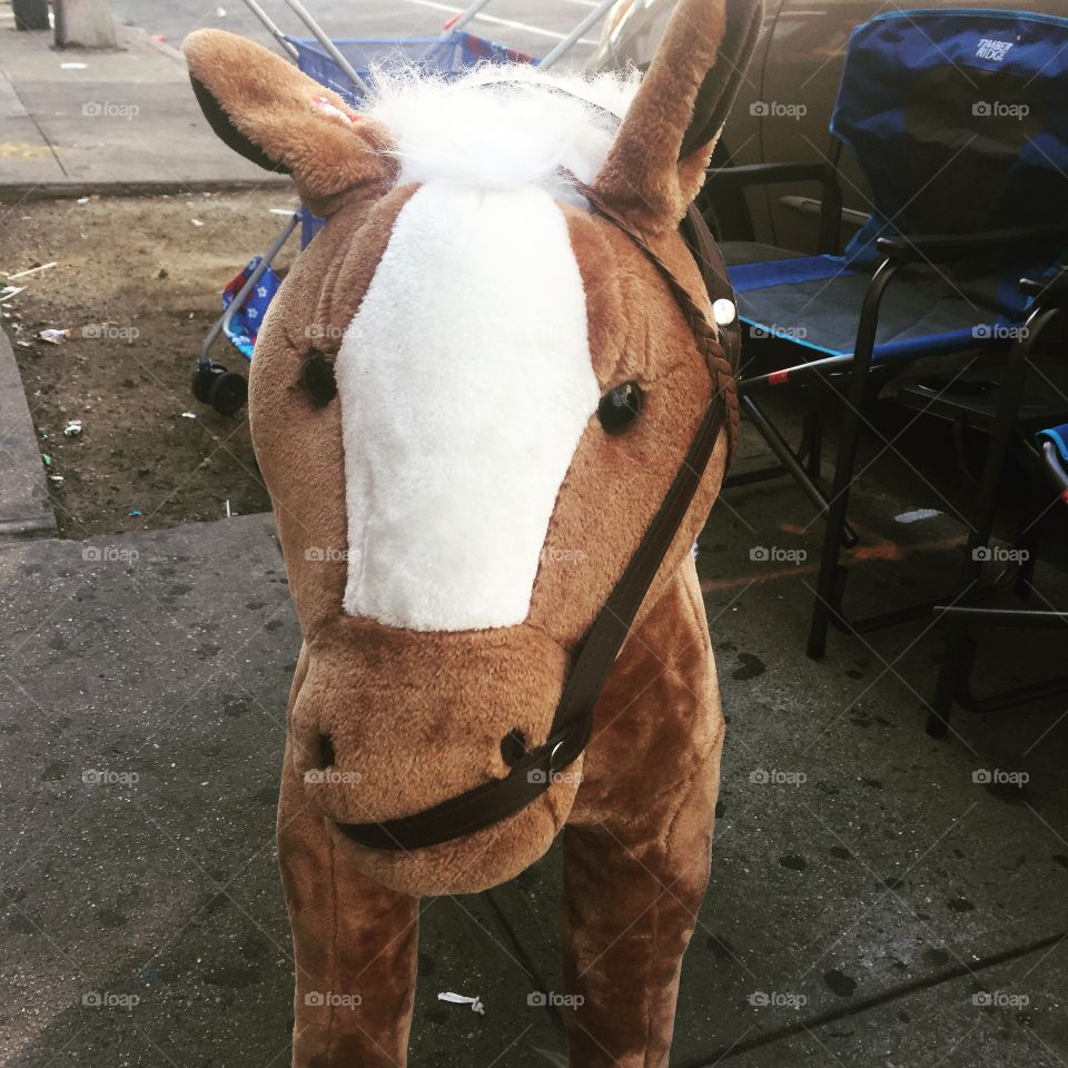 Just horsing around 