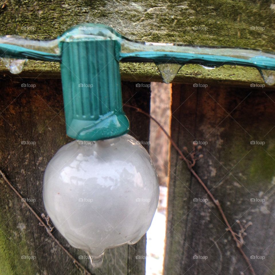 Ice covered bulb