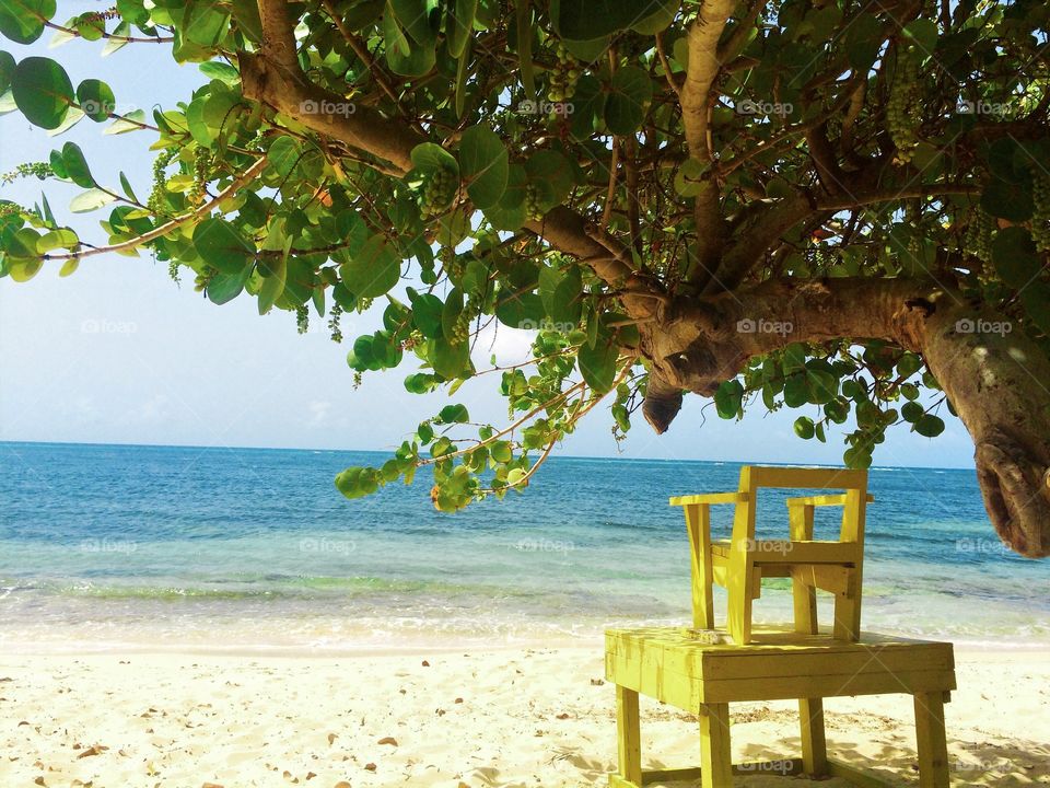 Lifeguard chair below tree at beach