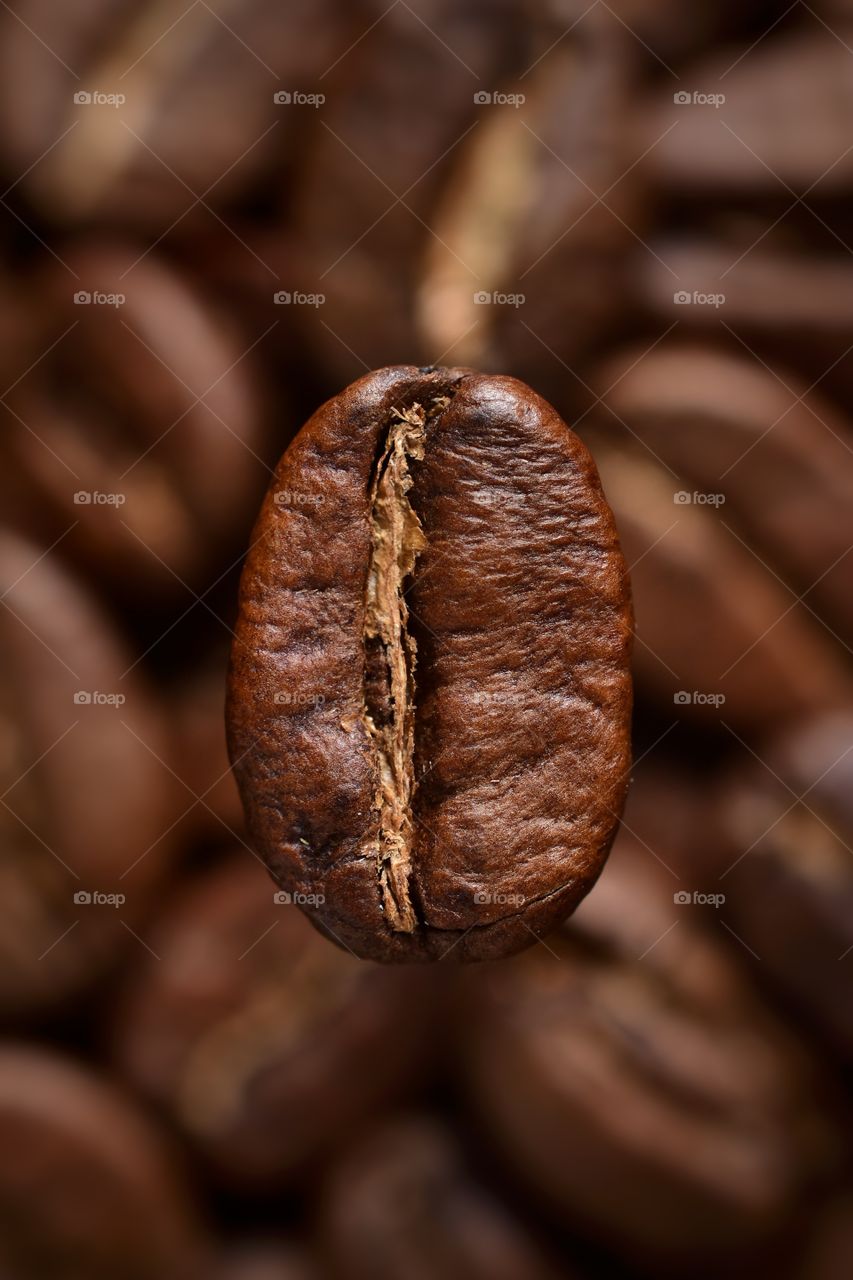 Coffee bean