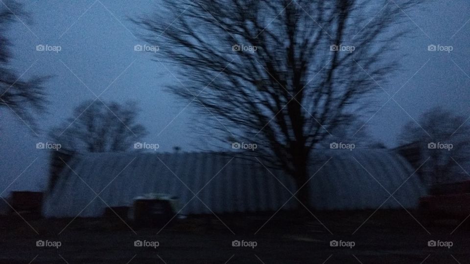 No Person, Winter, Tree, Weather, Landscape