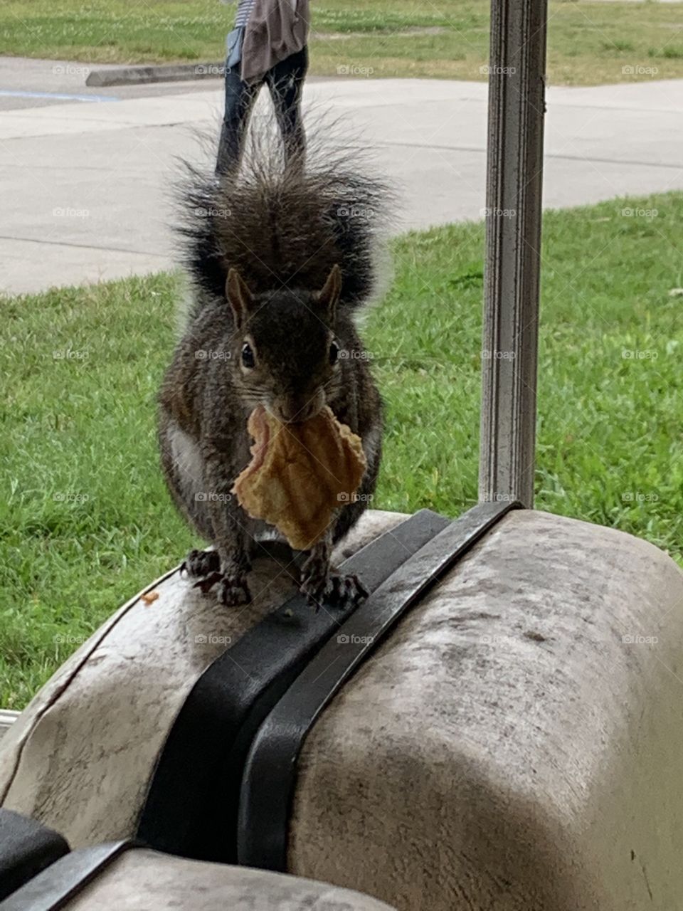 FL themeparks find VIDEOS @selsacamacho TICTOK @Selsa_Susanna IG or https://www.facebook.com/selsa, YouTube Selsa_Susanna mail: 1700 Celebration Blvd, unit 1019, Celebration, FL 34747