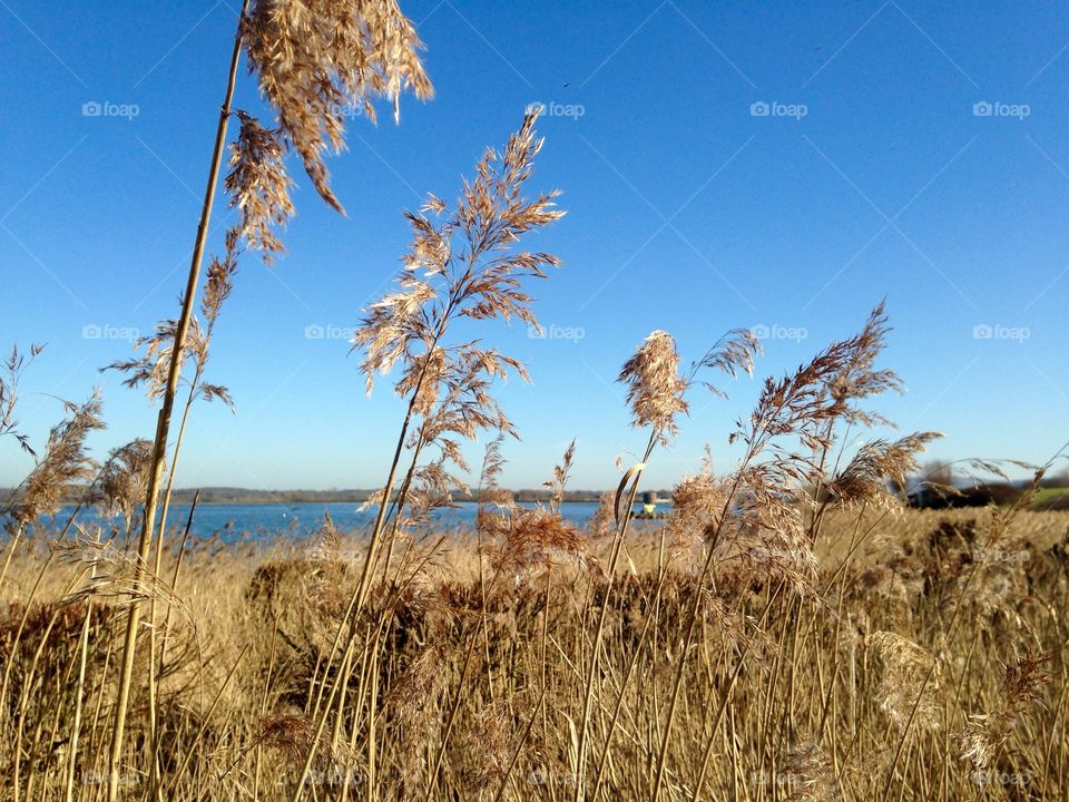 Looking across the reservoir 
