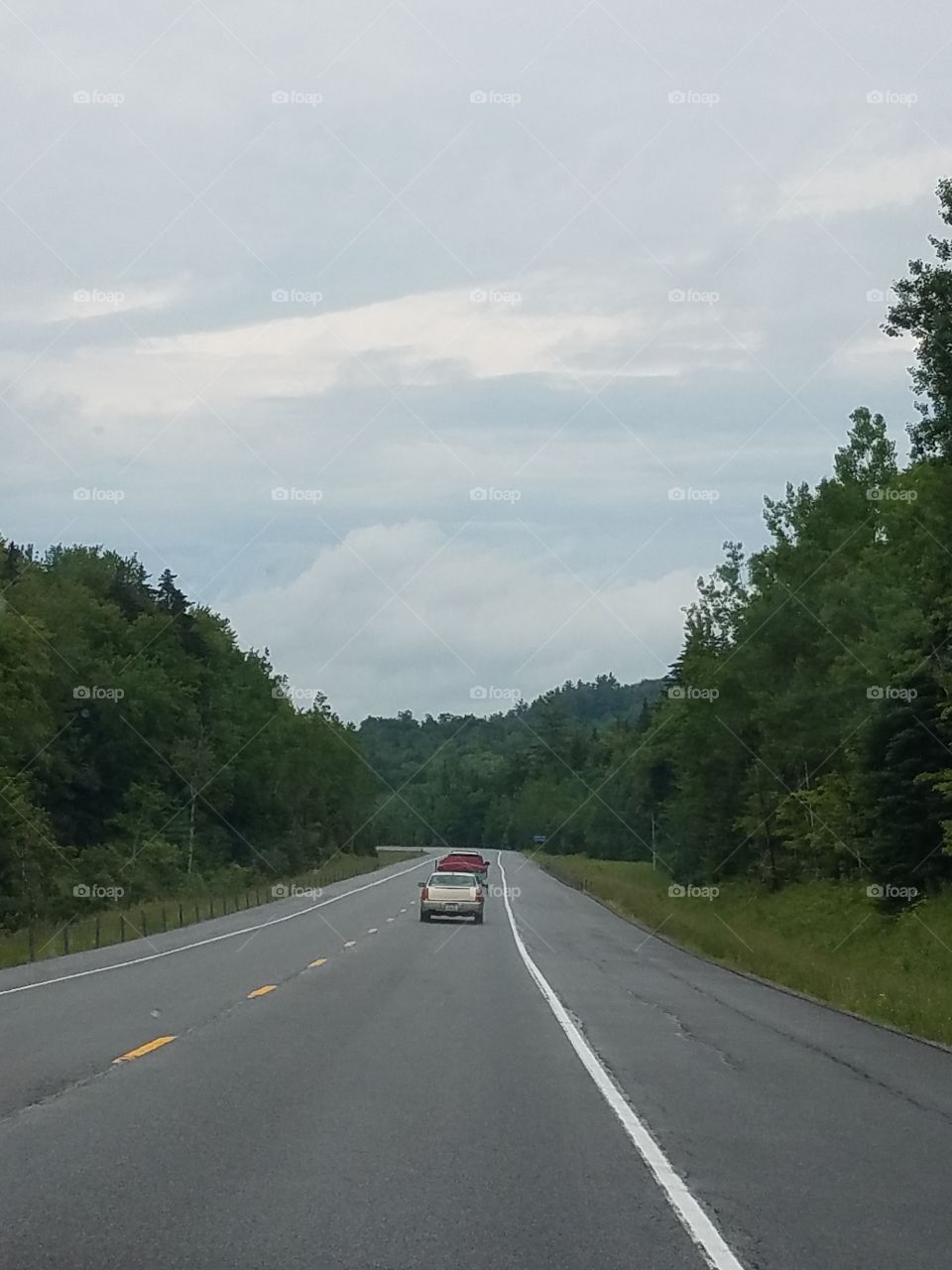 Road, Asphalt, Highway, Transportation System, Tree