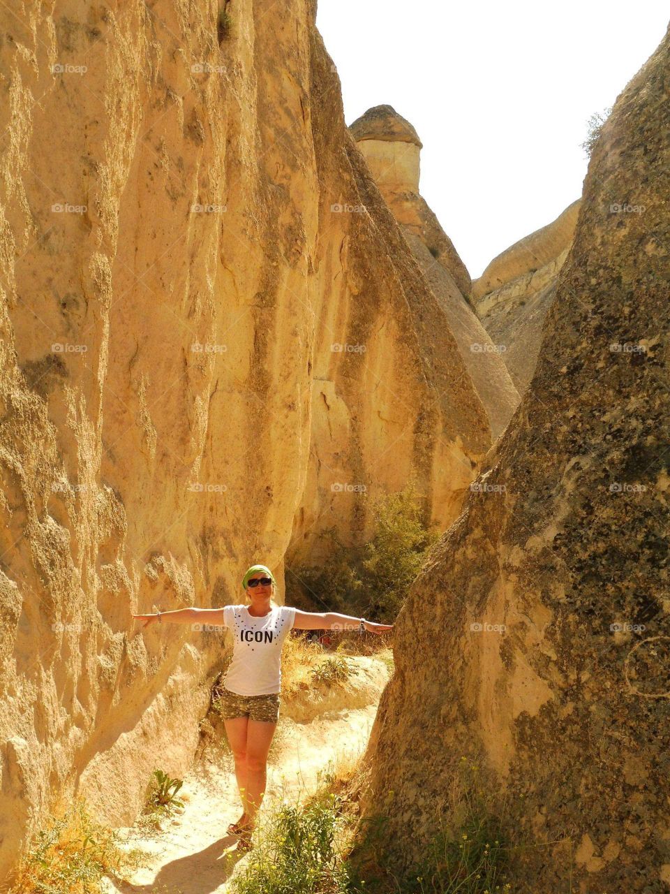 Wort between rock fungus