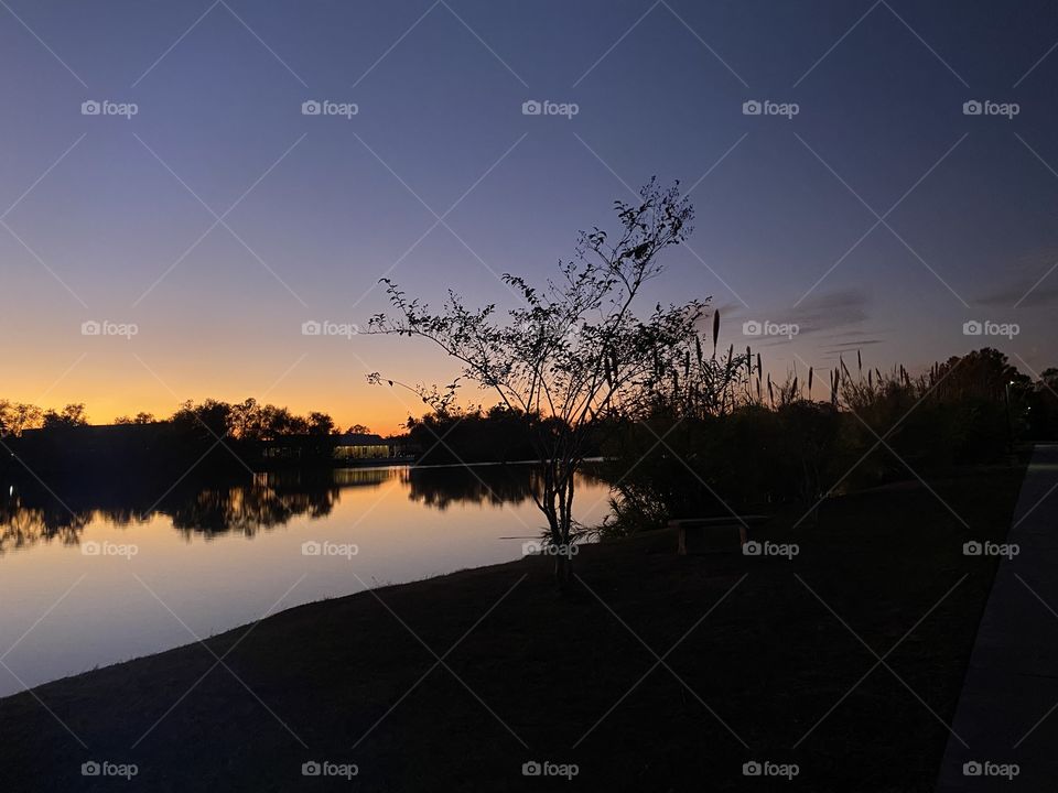 Very different Sunset for this evening. Sun setting had normal Colours but after sundown during Twilight the sky was colourless and remained blue until Night.
