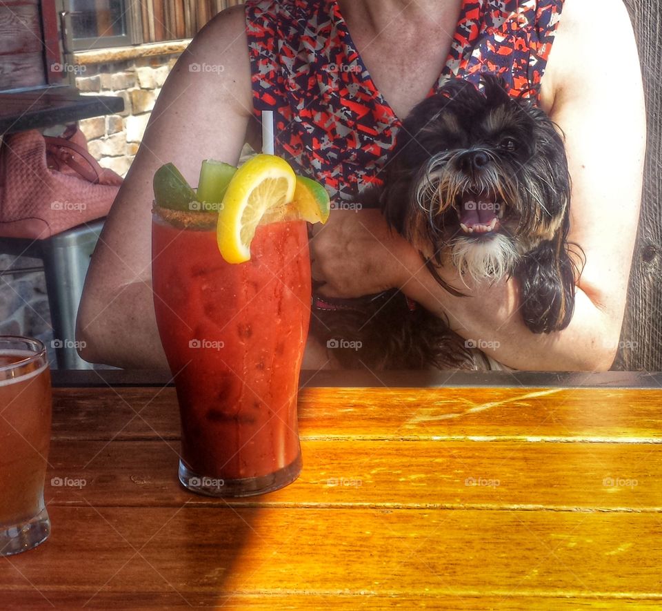 Woman Holding Happy Dog