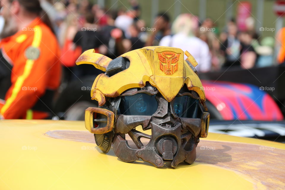 Bumblebee . Bumblebee 