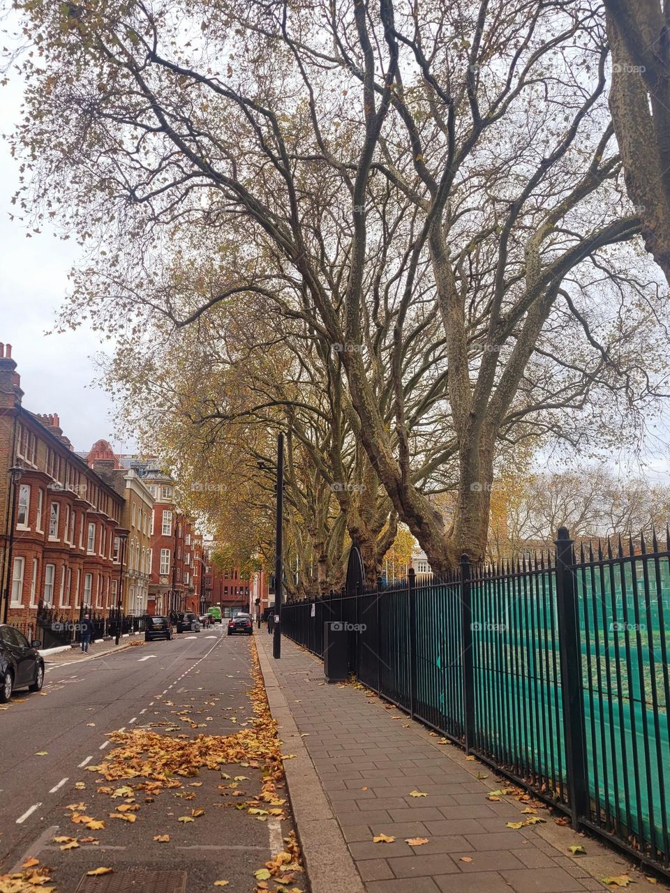 Autumn in London
