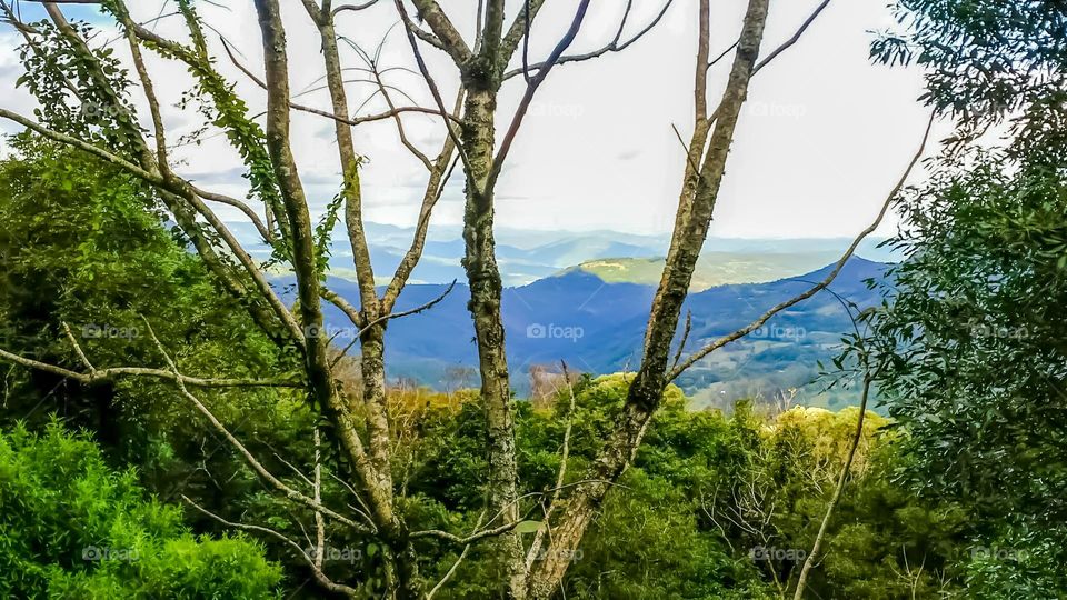 Natural Beauties of Southern Brazil.