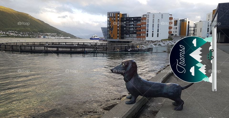 Tromsø,  Norway