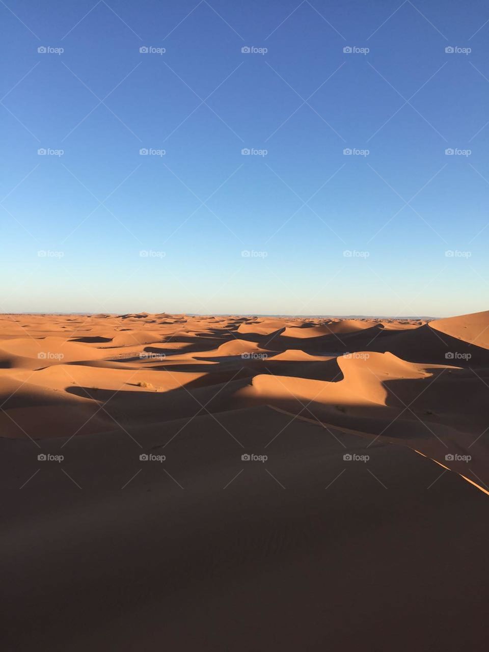 Sand Dunes in desert
