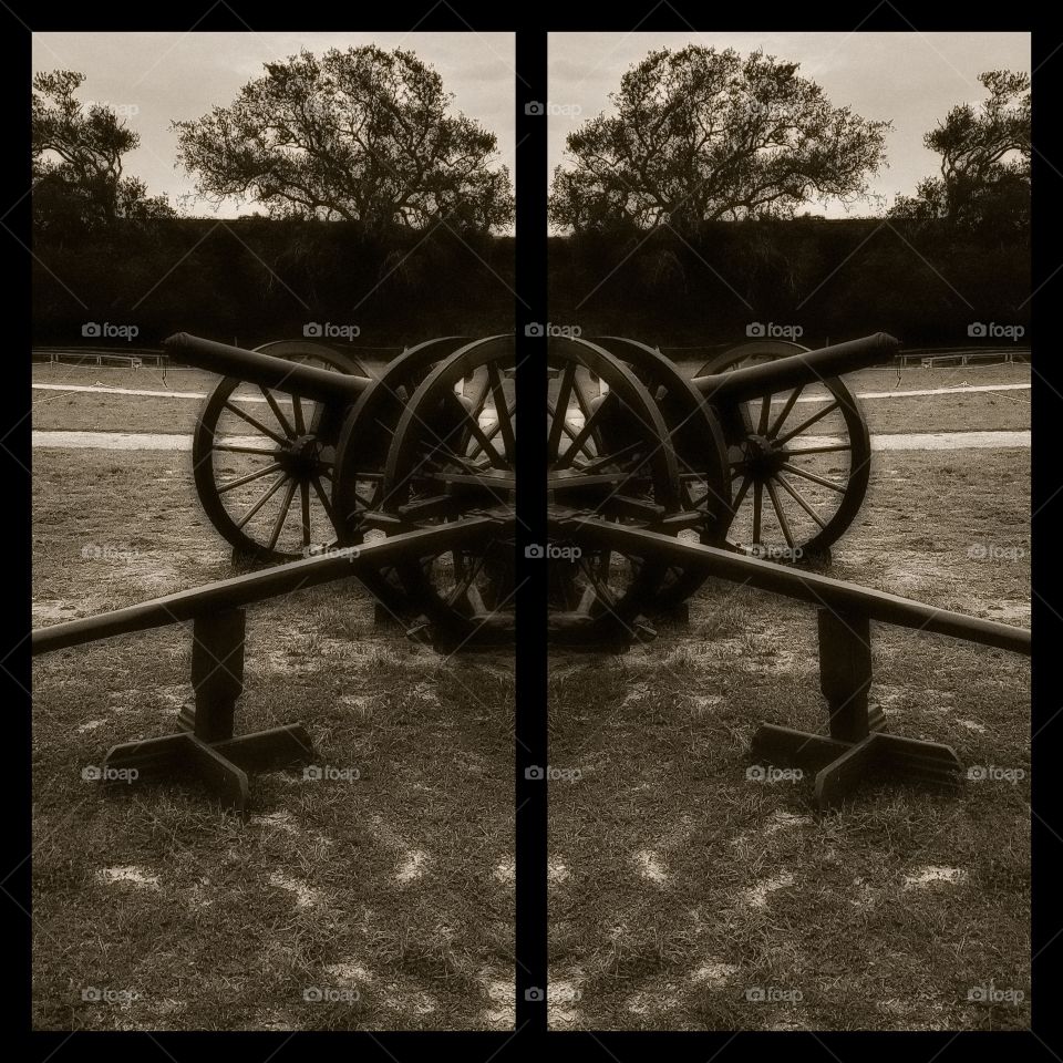 cannon